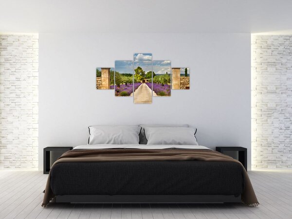 Obraz - Lawendowe ścieżki (125x70 cm)