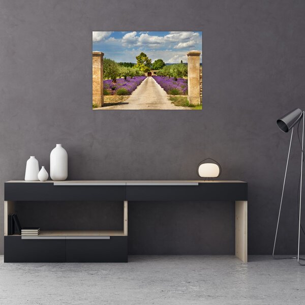 Obraz - Lawendowe ścieżki (70x50 cm)