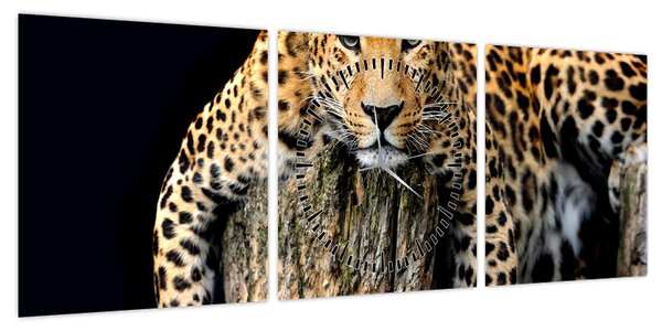 Obraz - Gepard (z zegarem) (90x30 cm)