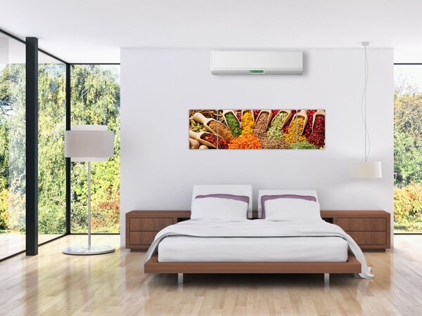 Obraz - Przyprawy z całego świata (170x50 cm)