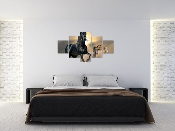 Obraz - Konie (125x70 cm)