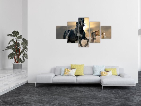Obraz - Konie (125x70 cm)