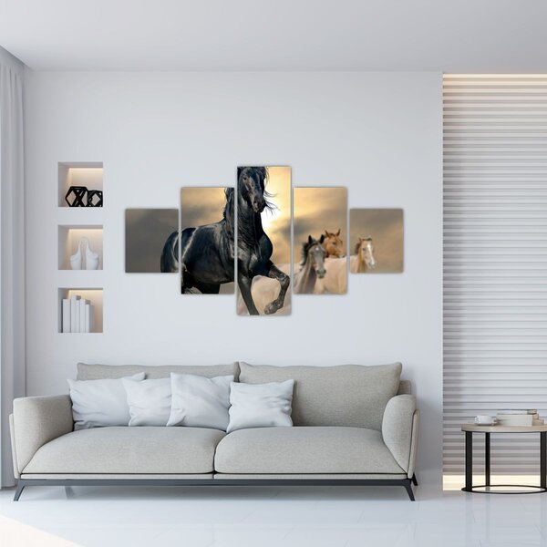 Obraz - Konie (125x70 cm)