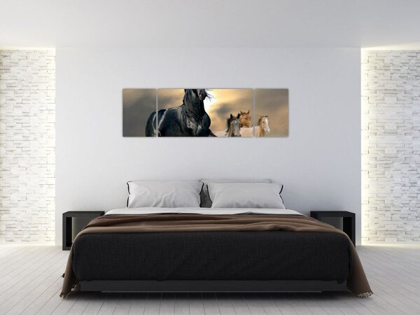 Obraz - Konie (170x50 cm)