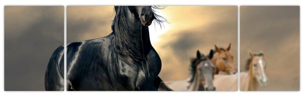 Obraz - Konie (170x50 cm)