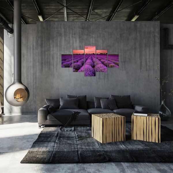 Obraz - Pole lawendy (125x70 cm)