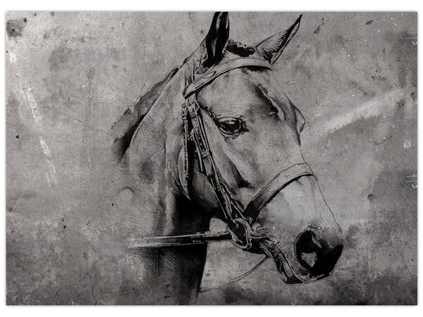 Obraz - Portret konia (70x50 cm)