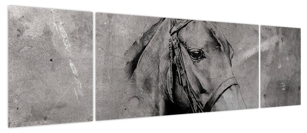 Obraz - Portret konia (170x50 cm)