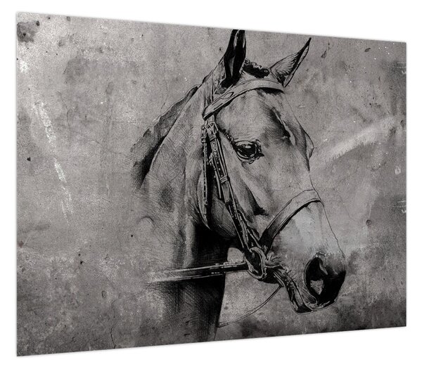 Obraz - Portret konia (70x50 cm)