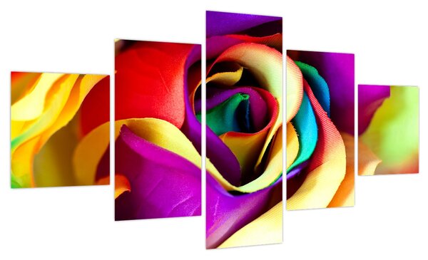 Obraz - Kolorowa róża (125x70 cm)