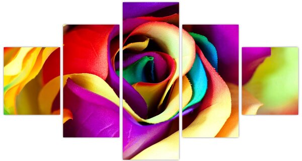Obraz - Kolorowa róża (125x70 cm)