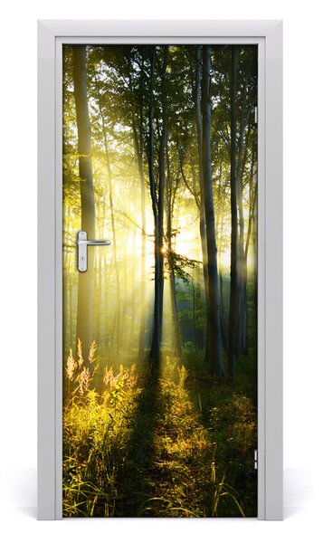 Fototapeta samoprzylepna na drzwi Las krajobraz