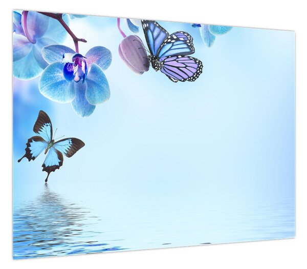 Obraz - Motyl na kwiatach orchidei, niebieski (70x50 cm)