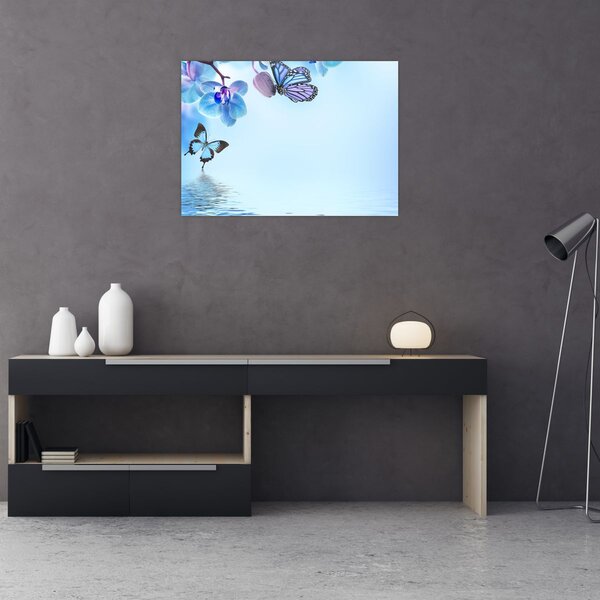 Obraz - Motyl na kwiatach orchidei, niebieski (70x50 cm)
