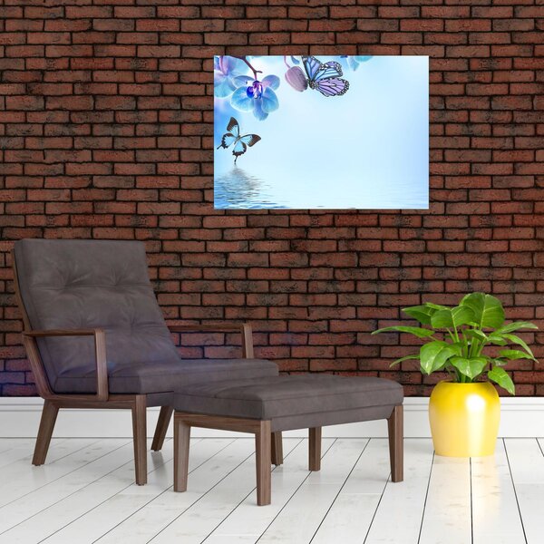 Obraz - Motyl na kwiatach orchidei, niebieski (70x50 cm)