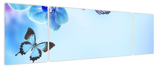 Obraz - Motyl na kwiatach orchidei, niebieski (170x50 cm)