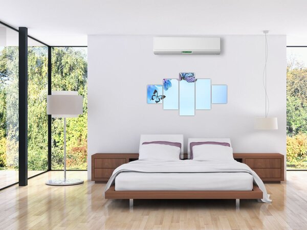 Obraz - Motyl na kwiatach orchidei, niebieski (125x70 cm)