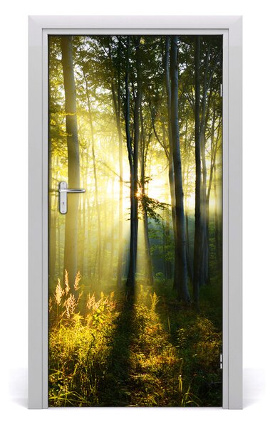 Fototapeta samoprzylepna na drzwi Las krajobraz