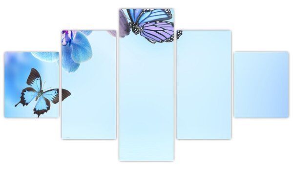 Obraz - Motyl na kwiatach orchidei, niebieski (125x70 cm)