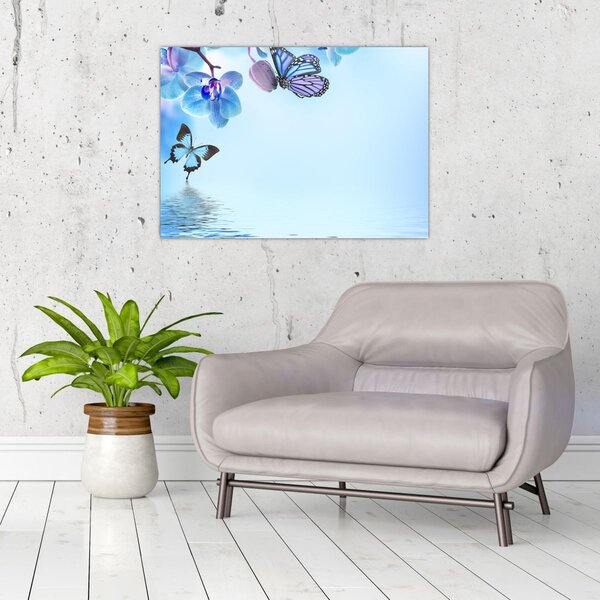 Obraz - Motyl na kwiatach orchidei, niebieski (70x50 cm)