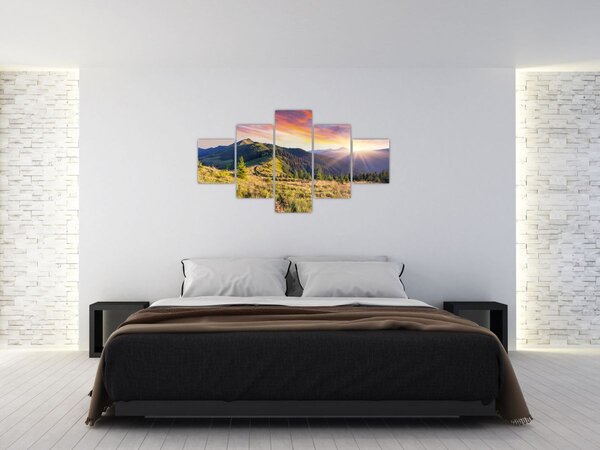 Obraz - Krajobraz leśny (125x70 cm)