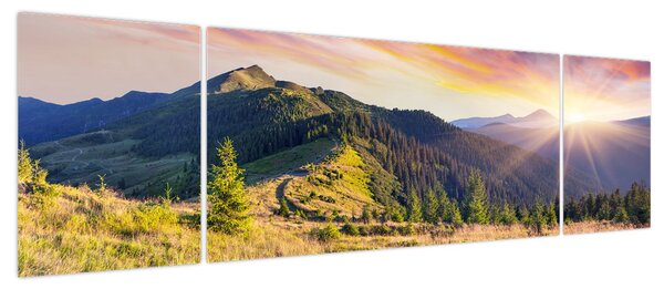 Obraz - Krajobraz leśny (170x50 cm)