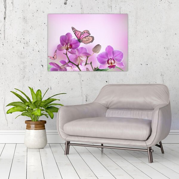 Obraz - Motyl na kwiatach orchidei, liliowy (70x50 cm)