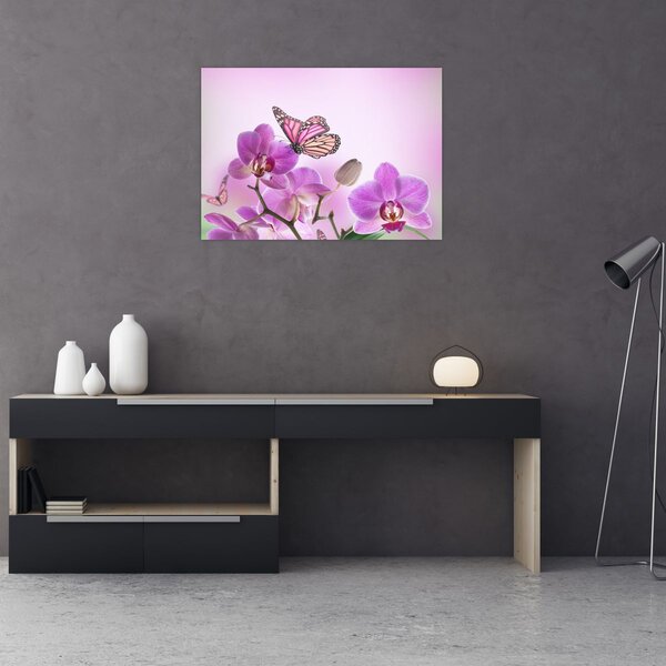 Obraz - Motyl na kwiatach orchidei, liliowy (70x50 cm)