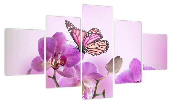 Obraz - Motyl na kwiatach orchidei, liliowy (125x70 cm)