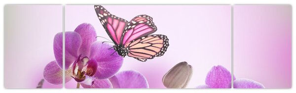 Obraz - Motyl na kwiatach orchidei, liliowy (170x50 cm)