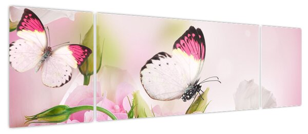 Obraz - Motyl (170x50 cm)