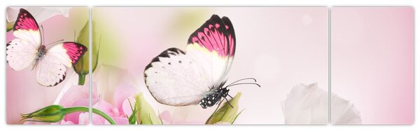 Obraz - Motyl (170x50 cm)