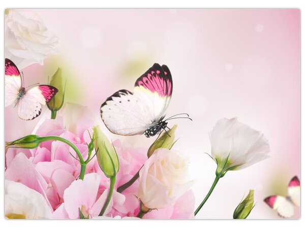 Obraz - Motyl (70x50 cm)