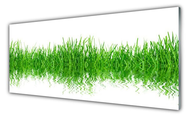 Obraz Szklany Trawa Roślina Przyroda