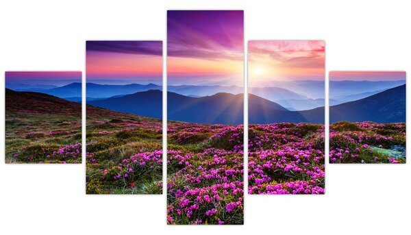 Obraz - Krajobraz kwitnących gór (125x70 cm)