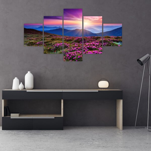 Obraz - Krajobraz kwitnących gór (125x70 cm)