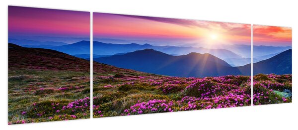 Obraz - Krajobraz kwitnących gór (170x50 cm)