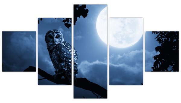 Obraz - Nocna Sowa (125x70 cm)