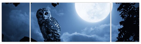 Obraz - Nocna Sowa (170x50 cm)