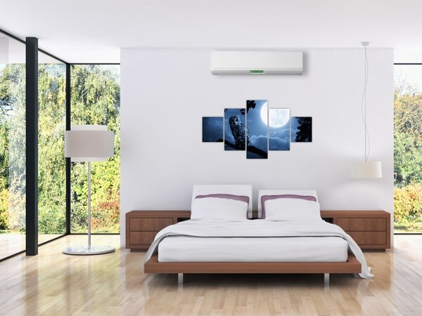 Obraz - Nocna Sowa (125x70 cm)