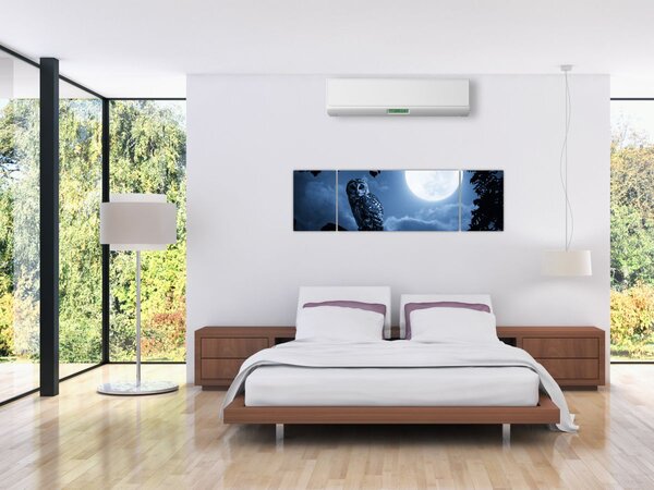 Obraz - Nocna Sowa (170x50 cm)