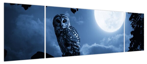 Obraz - Nocna Sowa (170x50 cm)