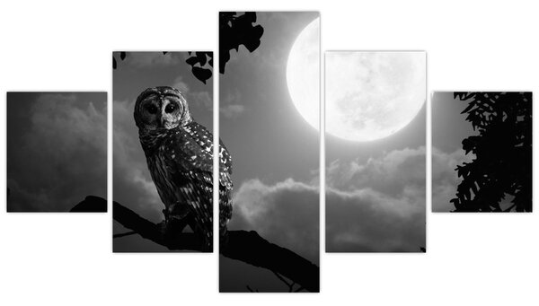 Obraz - Nocna sowa, czarno-biały (125x70 cm)