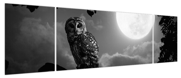 Obraz - Nocna sowa, czarno-biały (170x50 cm)