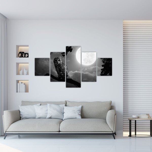 Obraz - Nocna sowa, czarno-biały (125x70 cm)
