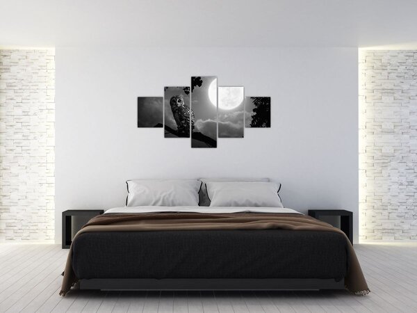 Obraz - Nocna sowa, czarno-biały (125x70 cm)