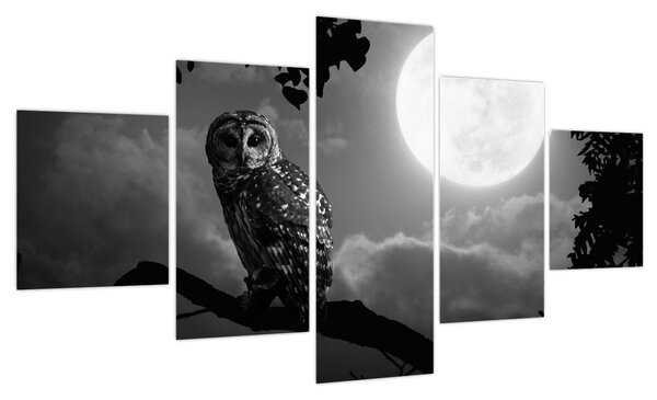 Obraz - Nocna sowa, czarno-biały (125x70 cm)
