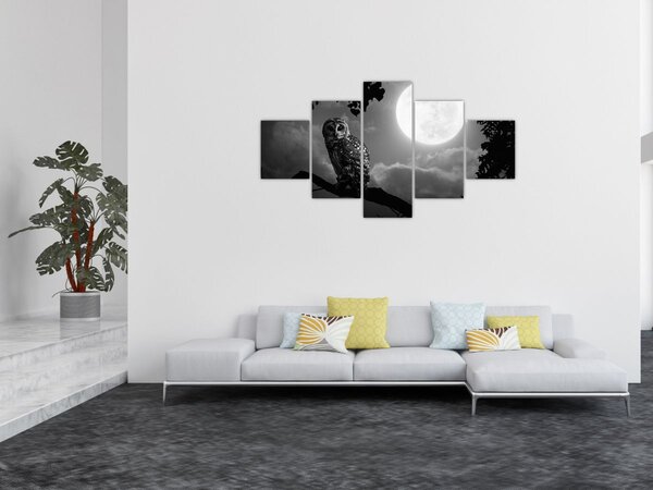 Obraz - Nocna sowa, czarno-biały (125x70 cm)