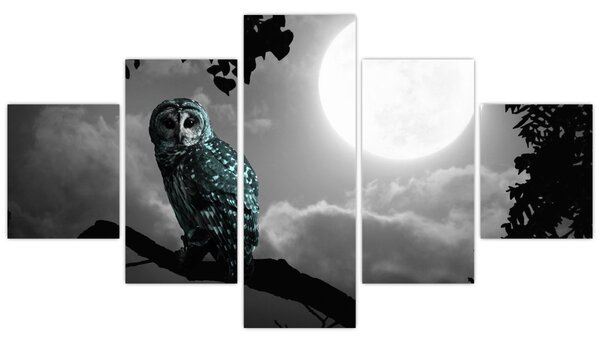 Obraz - Nocna sowa, niebieski (125x70 cm)