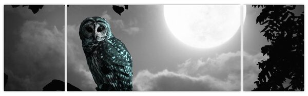 Obraz - Nocna sowa, niebieski (170x50 cm)